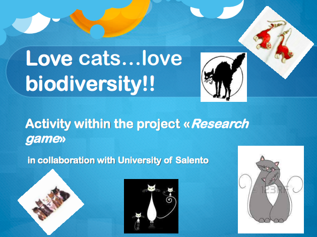 Study of intraspecific biodiversity of cats in Cavallino