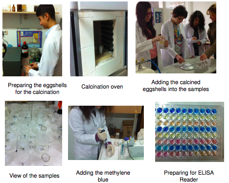 The Usability of the Eggshells to Move Away of Heavy Metals