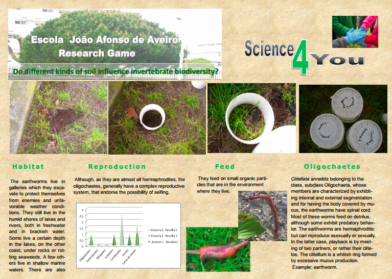 Do different kinds of soil influence invertebrate biodiversity?