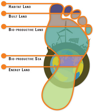 Calculating the Ecological Footprint