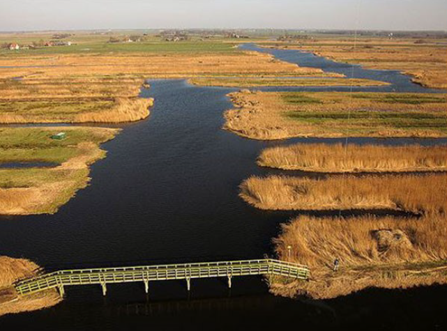 Water Research in the Kalverpolder