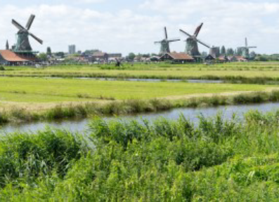 Eutrophication in the Kalverpolder