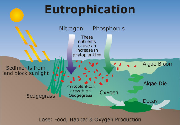 Marine Chemistry